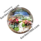 tieu-canh-tarrarium-garden1900.jpg